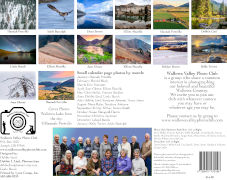 The Calendar Back Cover.jpg