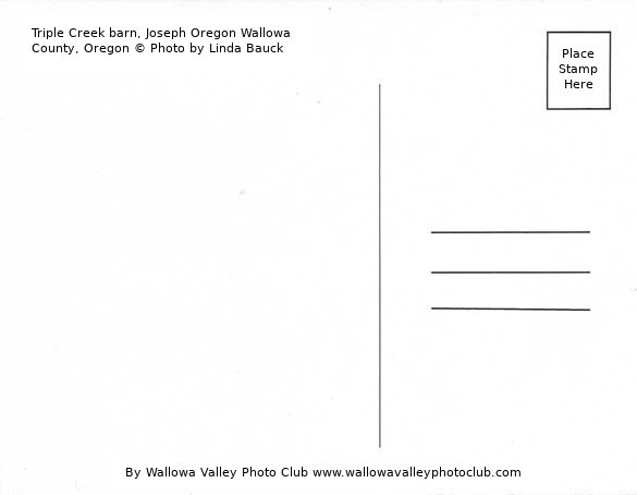 An image showing the back side of a Postcard