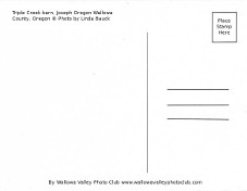The back of the postcards