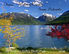 The front of the Postcard Pack